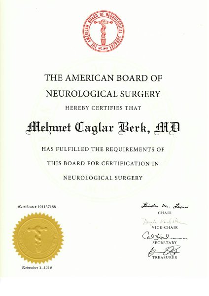Amerikan Nörolojik Cerrahi Kurulu (ABNS)-profersör mehmet çağlar berk